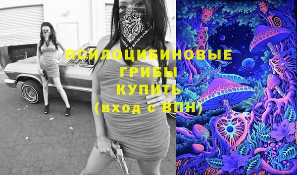 соль ск Алексин